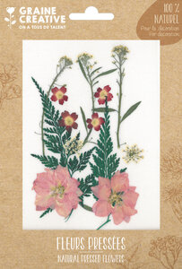 Fleurs Pressées Prairie Rouge 13 pièces