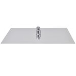 vidaXL Pomme de douche plongeante 2 Pièces Acier inoxydable 30x40 cm