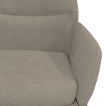 vidaXL Chaise de relaxation Gris clair Velours