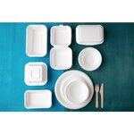 Lot de 50 barquettes en bagasse compostable - fiesta green -  - bagasse