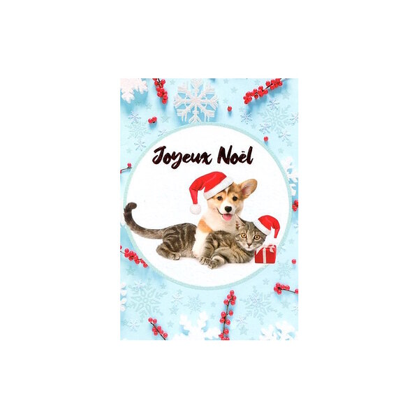 Carte De Voeux - Joyeux Noel - Chien et Chat