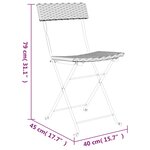 vidaXL Chaises de bistrot pliantes lot de 4 Gris Résine tressée acier