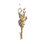 Bouquet de fleurs séchées - lilas