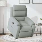 vidaXL Fauteuil inclinable Gris clair Velours