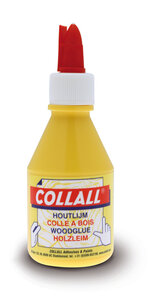 Colle à bois 100ml