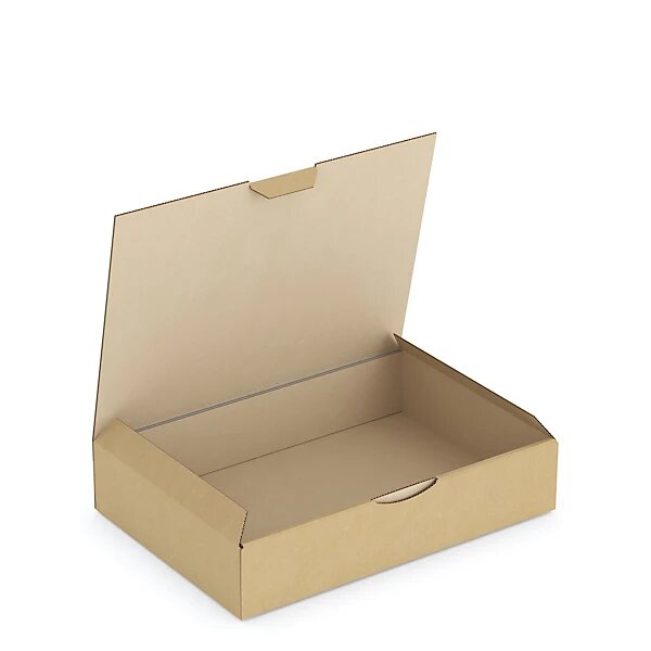 Boîte carton brune d'expédition rajapost 24x17x5 cm (lot de 50)