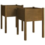 vidaXL Jardinières 2 Pièces Marron miel 50x50x70 cm Bois de pin massif