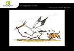 Lot de 7 cartes postales - cigogne humoristique 1 - dessins nicolas mengus