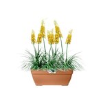 Vibia Campana Bac à fleurs Terrasse 80 - Marron - 77 x 35 x 33 cm