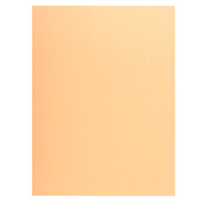 Paquet de 50 chemises 1 rabat SUPER 250 - 24x32cm EXACOMPTA