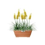 Vibia Campana Bac à fleurs Terrasse 80 - Marron - 77 x 35 x 33 cm