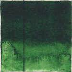 Aquarelle EF QoR 11ml Vert de vessie S2