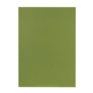 Chemise Carte Recyclée A4 - Vert - X 100 - Falken