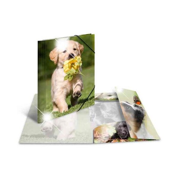 Chemise à élastiques 'chiens', PP Glossy, A3 HERMA