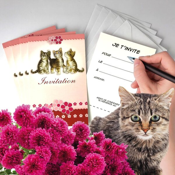 Lot 5 cartes "invitation" chat chatons animaux avec 5 enveloppes blanches 9x14cm