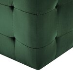 vidaXL 2 Pièces Poufs Vert 30 x 30 x 30 cm Tissu velours