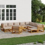 vidaXL Salon de jardin 12 Pièces avec coussins taupe bois massif