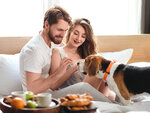 SMARTBOX - Coffret Cadeau Escapade de 2 jours avec votre animal de compagnie -  Séjour