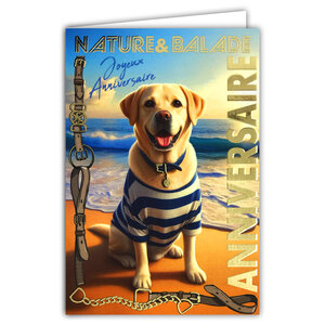 67-1271 Carte ANNIVERSAIRE Chien à la plage Texte en Or Doré Brillant et Enveloppe 12x17 5cm labrador golden retriever à la mer Animal de compagnie en marinière t-short rayé bleu et blanc collier