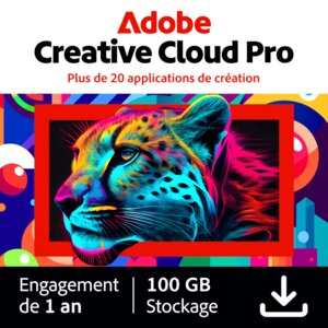 Adobe Creative Cloud Pro - Indépendants et particuliers - 1 utilisateur - Abonnement 1 an