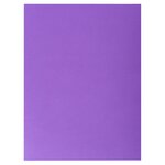 Paquet De 25 Chemises Double Poche Rock''s 210 - Double A4 Ou A3 - 24x32cm - Couleurs Assorties - X 10 - Exacompta