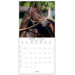 Grand calendrier mural 29x29  cm - 2024 - Chevaux - Draeger