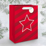 Lot De 10 Sacs Cadeau Grand Format - Rayures Rouges Et Etoiles - Draeger paris