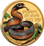 Pièce de monnaie en Or 100 Dollars g 31.1 (1 oz) Millésime 2021 Deadly Dangerous RED BELLIED BLACK SNAKE