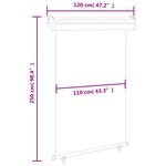 vidaXL Auvent latéral de balcon 120x250 cm Gris