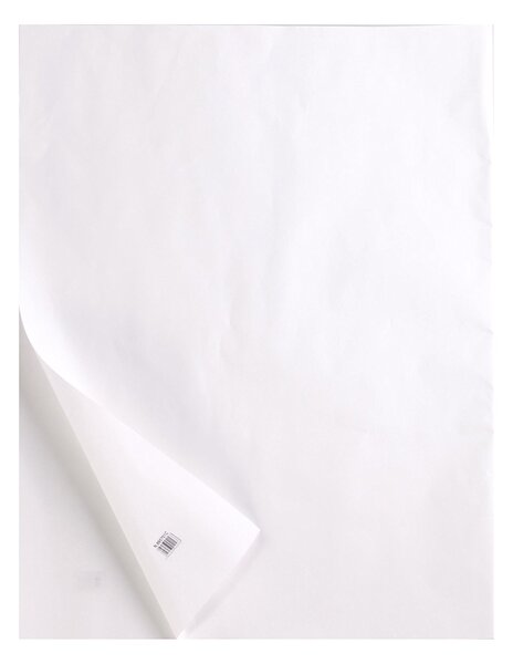 Rame de 10 feuilles de papier calque A4 transparent CLAIREFONTAINE