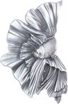 Pièce de monnaie en Argent g 31.1 (1 oz) Millésime 2024 Fish Medals BETTA FISH