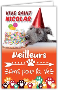 Carte vive saint nicolas bonne fête 6 décembre avec enveloppe blanche 12x17 5cm