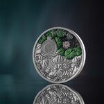 Pièce de monnaie en Argent 2 Dollars g 62.2 (2 oz) Millésime 2024 Lifelong Journey RED EARED TURTLE