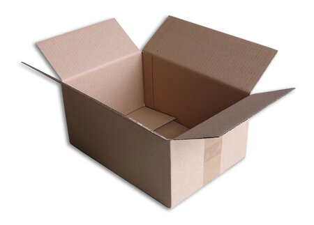 Lot de 25 Boîtes carton (N°36) format 305x215x140 mm