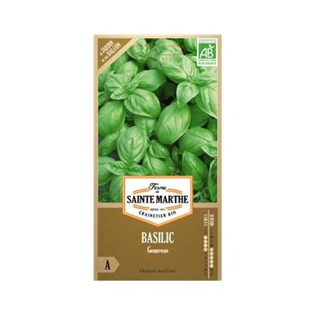 Graines à semer - Basilic Genovese bio