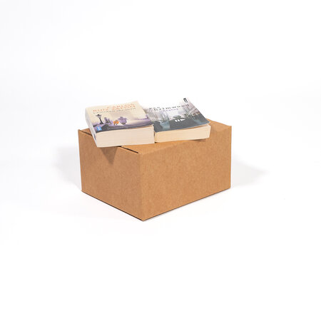 Lot de 20 caisses carton 23x19x12cm