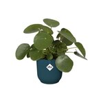 Vibes Fold Pot de fleurs rond Roues 35 - Bleu Ø 35 x 32 cm