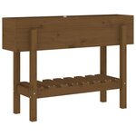 vidaXL Lit surélevé de jardin marron miel 101x30x69 cm bois pin massif