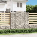 vidaXL Paniers à gabions arqués 2 Pièces 200x30x200/220 cm fer galvanisé