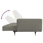 vidaXL Canapé-lit à 2 places avec deux oreillers Gris clair Velours