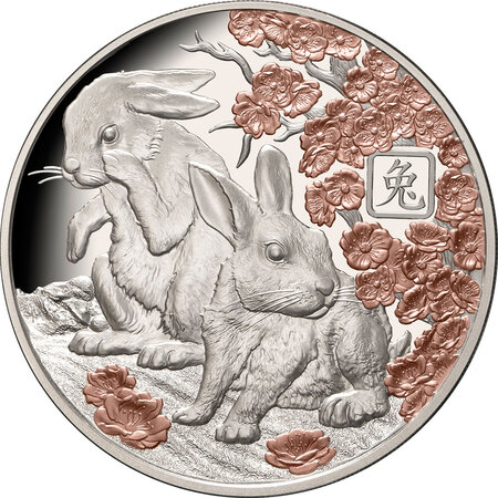 Pièce de monnaie en Argent 5 Dollars g 31.1 (1 oz) Millésime 2023 Lunar Year Solomon Islands RABBIT