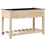 Jardinière vidaXL avec étagère 115x59x76 cm en bois massif de sapin