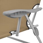 vidaXL Chaise longue pliable avec auvent Acier Taupe