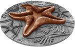 Pièce de monnaie en Argent 2 Dollars g 62.2 (2 oz) Millésime 2019 World of Fossils STARFISH