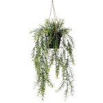 Emerald Buisson suspendu d'asperge artificiel 50 cm en pot