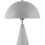 Lampe à poser en métal sublime