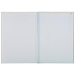 Manifold Quadrillé 5x5 29 7x21cm 50 Feuillets Dupli Autocopiants - X 5 - Exacompta