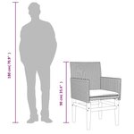 vidaXL Chaises de jardin coussins lot de 2 noir résine tressée et bois