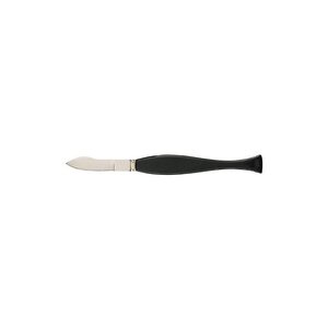 JPC Grattoir à virole, 176 mm, manche noir en plastique