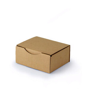 Lot de 5 Boîtes postales d’expédition carton 250x200x100. Coloris Marron